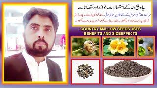 siah beej band kay fawaid aor nuqsan  country mallow seeds benefits and sideeffects by jolly azeem