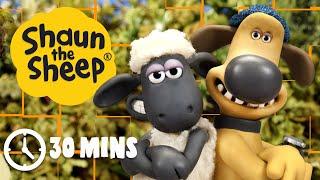 Shaun the Sheep Season 4 Compilation Full Episodes 6-10
