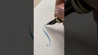 Обзор перьевой ручки с мягким пером #каллиграфия #calligraphy