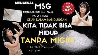 Apakah Micin Berbahaya?Kita Tidak Dapat Hidup Tanpa MicinInformasi Tentang Monosodium GlutamatMSG