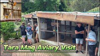 Aviary Visit sa Finch Breeder dito sa New Zealand