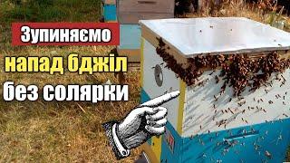 Напад бджіл на вулик. Як швидко зупинити напад бджіл і крадіжку на пасіці?