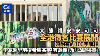 大熊貓安安可可｜全港徵名比賽今展開　設委員會評選出最適合名字｜01新聞｜大熊貓｜海洋公園｜安安可可｜楊潤雄｜四川