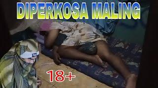 DIPERKOSA MALING 