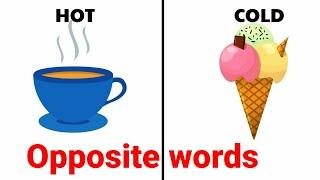 Opposite words in English  opposite words for preschoolers  Educational video  Antonym for kids