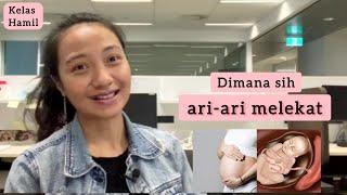 DIMANA SIH ARI-ARI MELEKAT? -Bubid Dian.M.Phil-