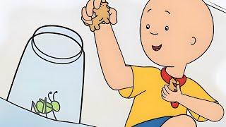 Caillous neues Haustier  Caillou Klassiker