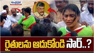 రైతులను ఆదుకోండి సార్...?  YS Sharmila visit to the flooded Areas  Andhraprabha Life