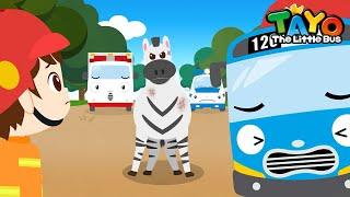 The Zebra Escaped  Tayo Animal Rescue Team  Rescue Team Episodes  Tayo the Little Bus