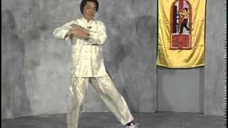 Traditional Wing Chun William Cheung Chum Kiu Form