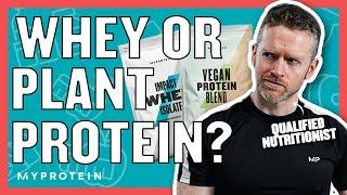 Whey vs Plant Protein Is One Better Than The Other?  Nutritionist Explains  Myprotein