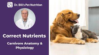 Carnivore Anatomy & Physiology  Correct Nutrients  Dr. Bills Pet Nutrition