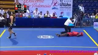 Wushu Sanda KO compilation