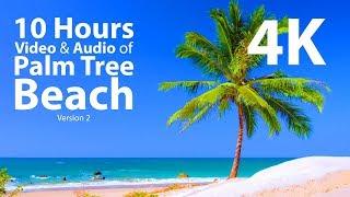 4K UHD 10 hours - Tropical Beach & Gentle Lapping Waves - mindfulness relaxing meditation nature