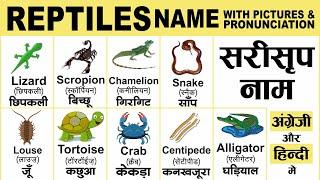 Reptiles name with pronunciation  Reptiles name with spelling  Reptiles name in english and hindi