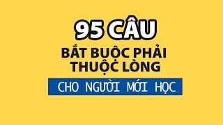 95 câu bắt buộc phải thuộc lòng cho ai mới học tiếng Anh Những động từ cơ bản nhất