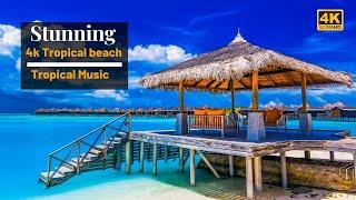 4k Tropical Beach  Beautiful Tropical Music  Chill & House Music  Maldives Island & Bora Bora