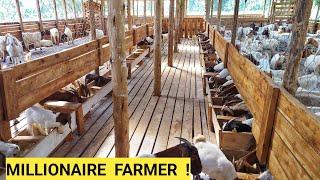 Best Methods For Raising Goats Sheep Poultry On a Free Range Farm  FARM TOUR