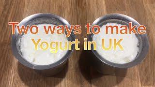 Two Ways to make Yogurt in UKHomemade Yogurt with Live Cultures லண்டனில் தயிர் செய்வது எப்படி