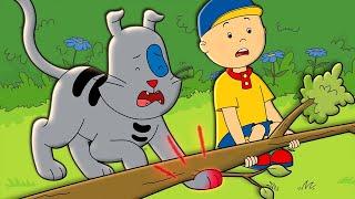 Caillou and Gilbert at the Vet  Caillou Cartoon