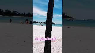 Coquina Beach #shorts #annamariaisland #floridabeaches #longboatkey #florida