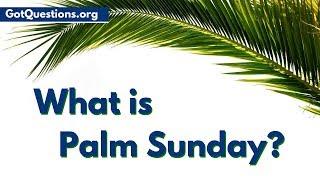 What is Palm Sunday  Holy Week  Passion Week  GotQuestions.org