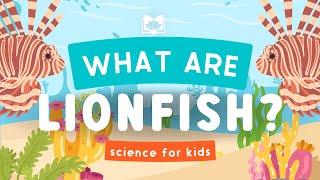 What Are Lionfish?  Calming Science For Kids