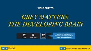 Grey Matters The Developing Brain