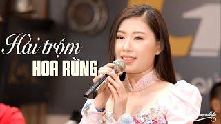 Hái Trộm Hoa Rừng - Giọng ca trầm ấm nghe là ghiền Mộc Anh Official MV