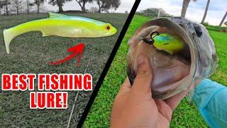 The Fishing Bait You NEED... Best Fishing Lure