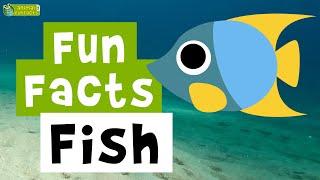 Fish    - Cartoon Fun Facts - Animals for Kids - Educational Video
