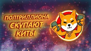 SHIBA INU ПОЛТРИЛЛИОНА КИТЫ СКУПАЮТ ШИБУ ПРИТОК НОВЫХ ИНВЕСТОРОВ