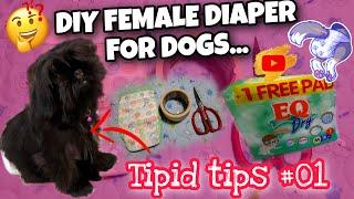 DIY FEMALE DOG DIAPER  Tipid Tips and very Easy #diy #furmom #supportsinglemom #shihtzupuppy #mom