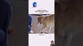 #animallover #doglover #animalshorts