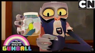 The smallest thing can lead to catastrophe  The Butterfly  Gumball  Cartoon Network