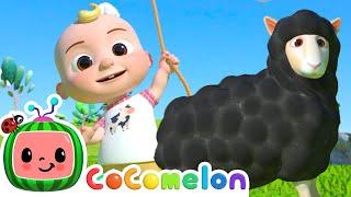  15 MIN LOOP  Baa Baa Black Sheep  CoComelon Nursery Rhymes & Kids Songs
