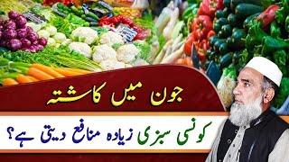 Which Vegetables are suitable for cultivation in June 2023  Crop Reformer