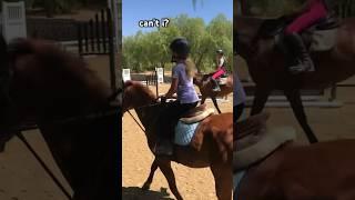  #horse #horsegirl #fypシ゚viral #equestrian #horsesaremylife #horselover #pony #horsebackriding