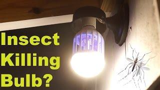 Can this normal light bulb kill mosquitoes? -  Flying Insect Moth & Wasp  Zapper Test & Review