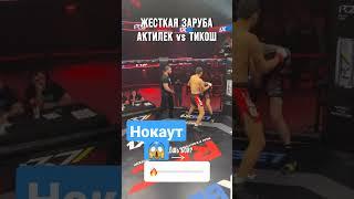 Актилек vs. Тикош Актилек упал жесткий нокаут 