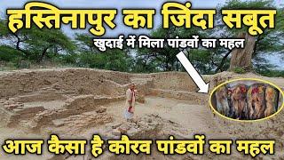 Hastinapur Palace of Kaurava Pandavas unearthed after 5000 years evidence found in excavation braj darpan 2024