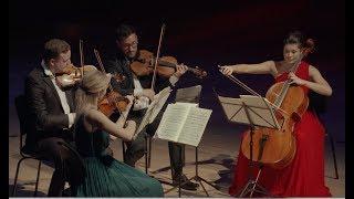 Edvard Grieg - String Quartet in g minor op. 27 - Nordic String Quartet HD