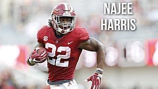 Najee Harris  The Royal Stallion  Alabama Sophomore Highlights  2018