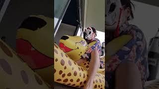 Rubi playing with an inflatable cheetah