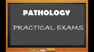 Pathology 999 e Practical Spotters Histopathology Slides Microscopy Part 1