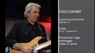 Cicci Guitar Condor - Cucurrucucù Paloma  il Volo Official Video