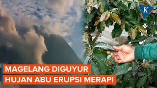 Erupsi Gunung Merapi 7 Desa di Magelang Diguyur Hujan Abu