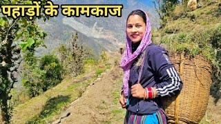 मायके में आकर की माँ के काम में मदद  Preeti Rana  Pahadi lifestyle vlog  Giriya Village