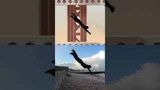 VECTOR TRICKS IN REAL LIFE #parkour #vector #viral #games