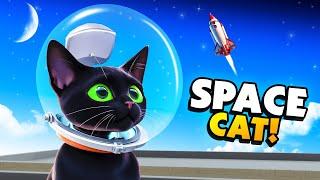 BRAVE Cat Finds A SPACE Helmet and Becomes SPACE CAT - Little Kitty Big City